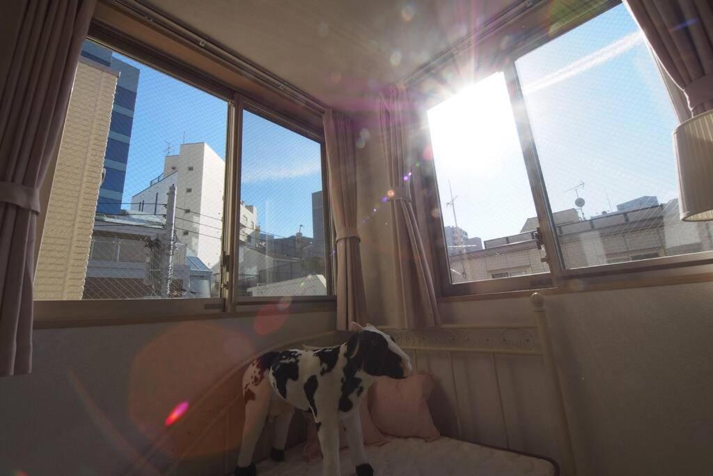 東京都【Great Location!】Near Shinjuku Sta./Girls #302アパートメント エクステリア 写真